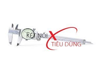 Thước cặp đồng hồ Insize 1317-300
